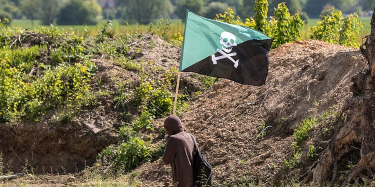 A figure in a brown hoodie walks through a green field holing a eco-anarchist green and black flag with a skull and cross bones on it