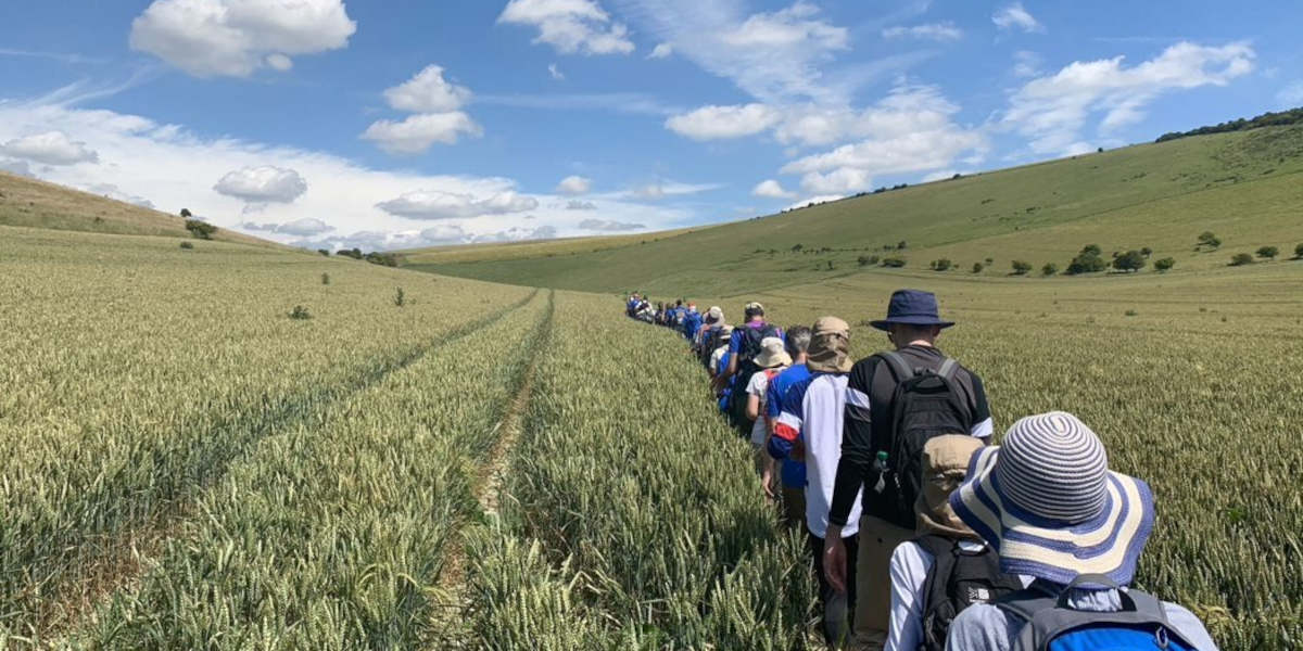 A line of walkers stretch from the bottom right corner to the middle of the image, moving through a landscape of blue sky, wheat-filled fields and rolling hills