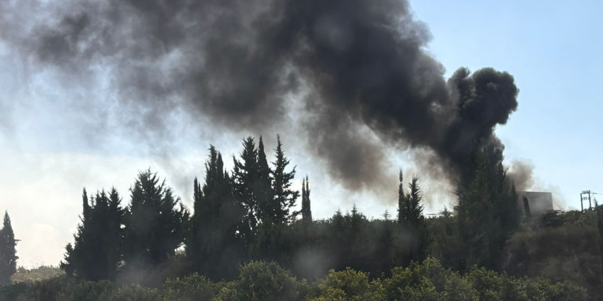 Landscape with cypress trees dominated by a column of thick black smoke rising into the air